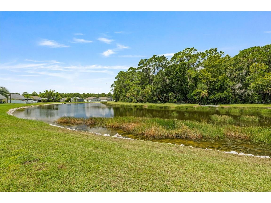 25247 Lexington Oaks Boulevard Wesley Chapel FL 33544 TB8419131 image35