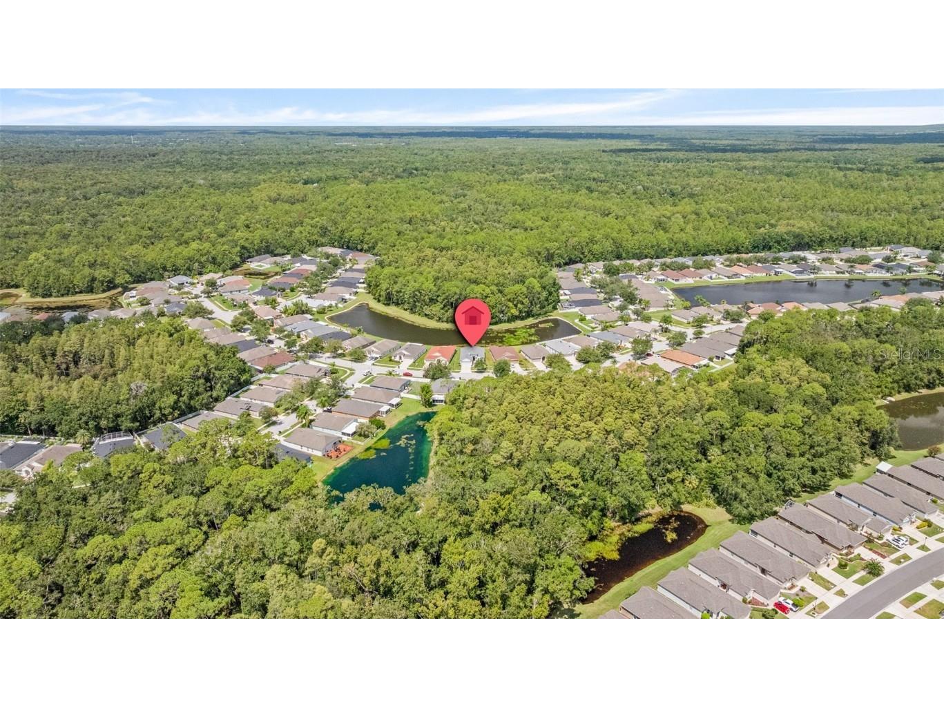 25247 Lexington Oaks Boulevard Wesley Chapel FL 33544 TB8419131 image43