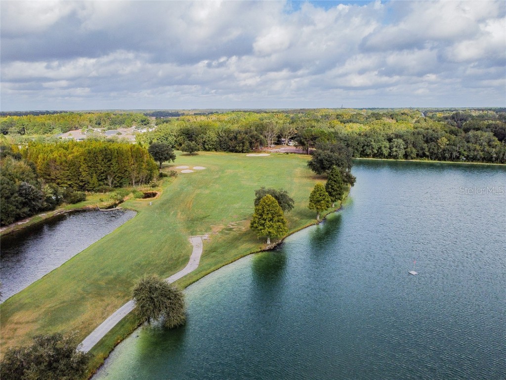 25247 Lexington Oaks Boulevard Wesley Chapel FL 33544 TB8419131 image53