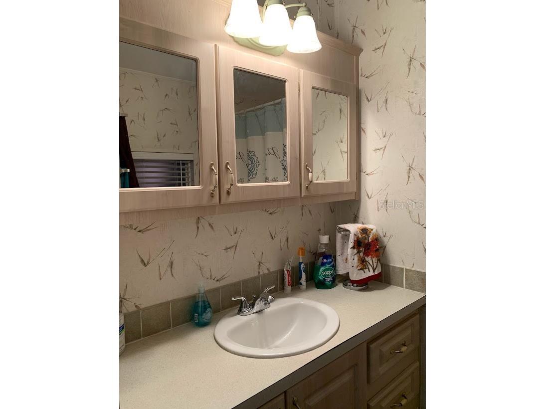 25247 NE 141st Lane #248 Fort Mc Coy FL 32134 - LITTLE LAKE KERR OM721063 image26