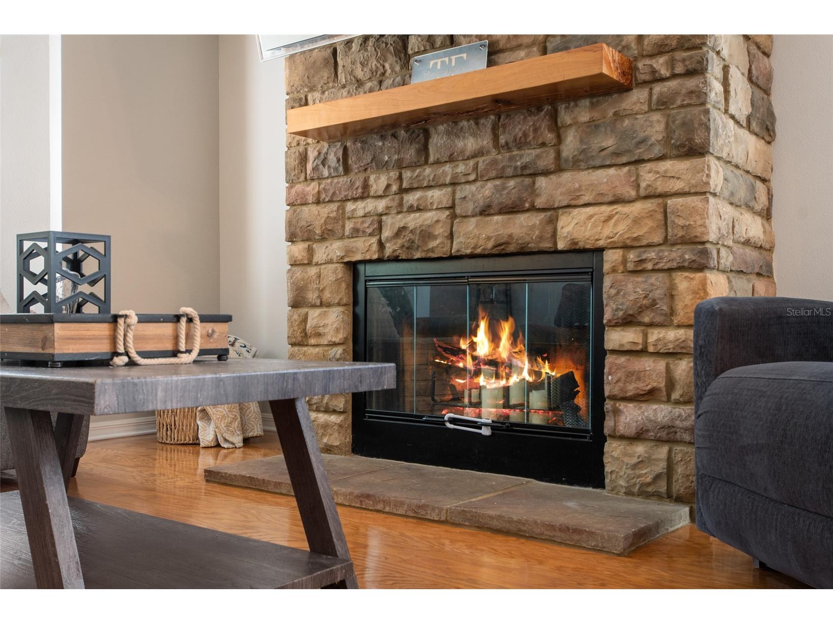 25249 Ironwedge Drive Sorrento FL 32776 O6392184 image27