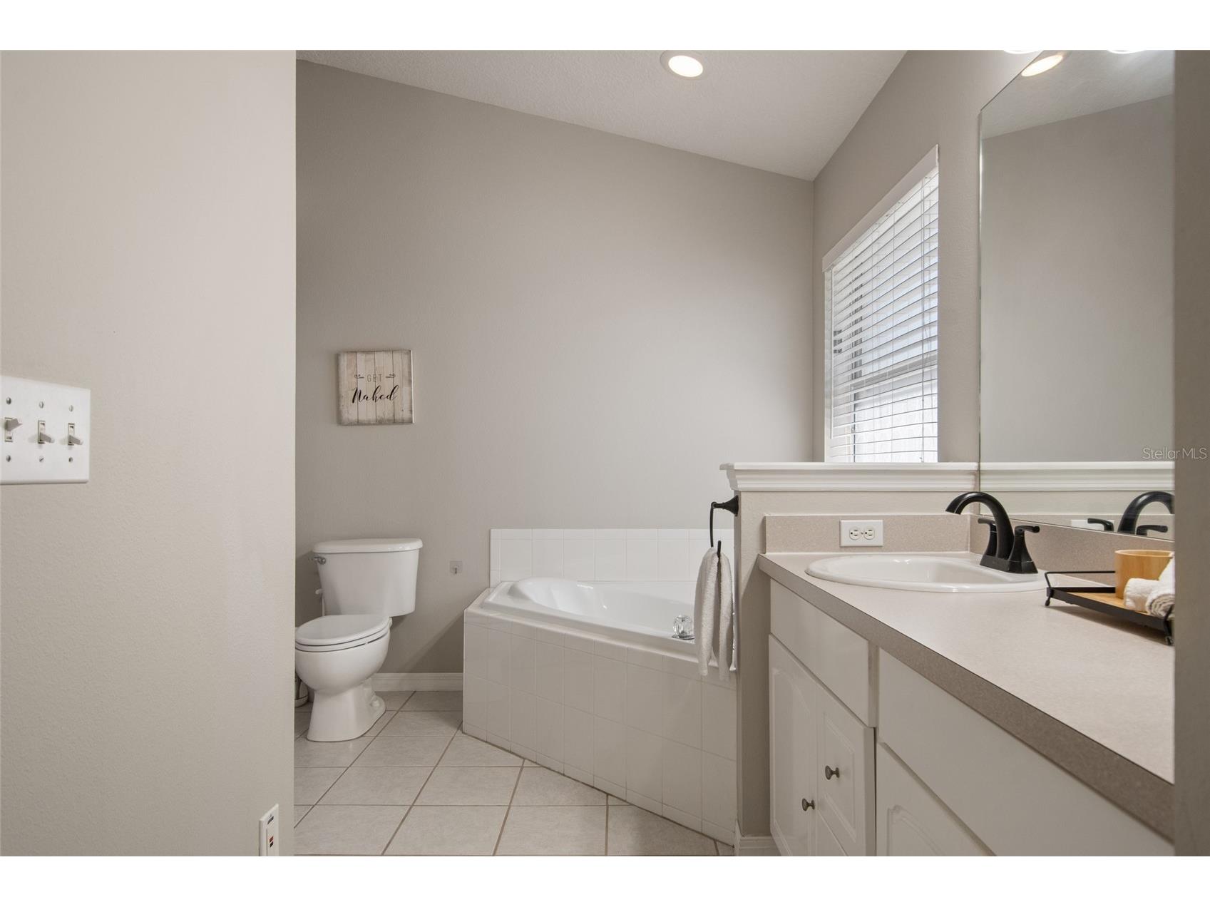 25249 Ironwedge Drive Sorrento FL 32776 O6392184 image40