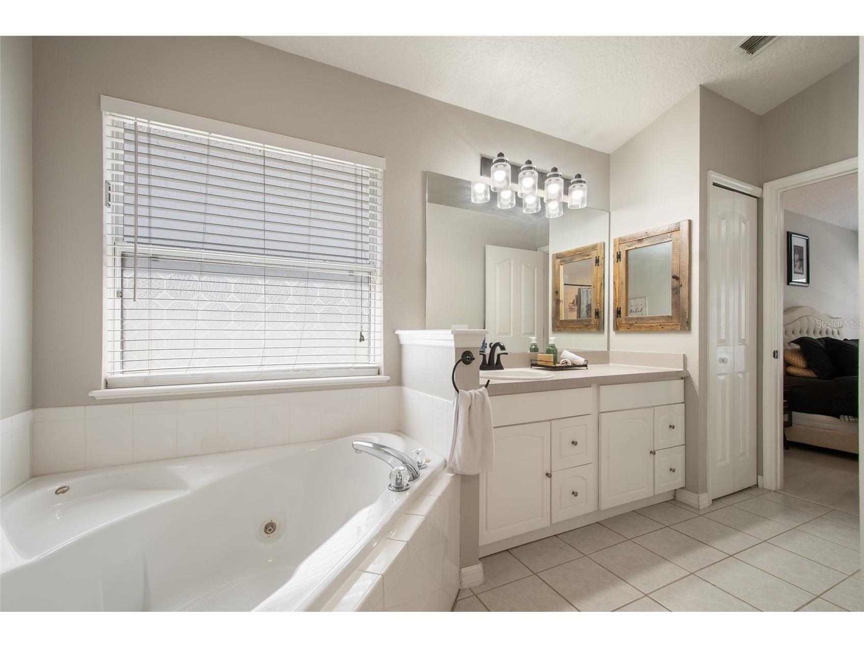 25249 Ironwedge Drive Sorrento FL 32776 O6392184 image41