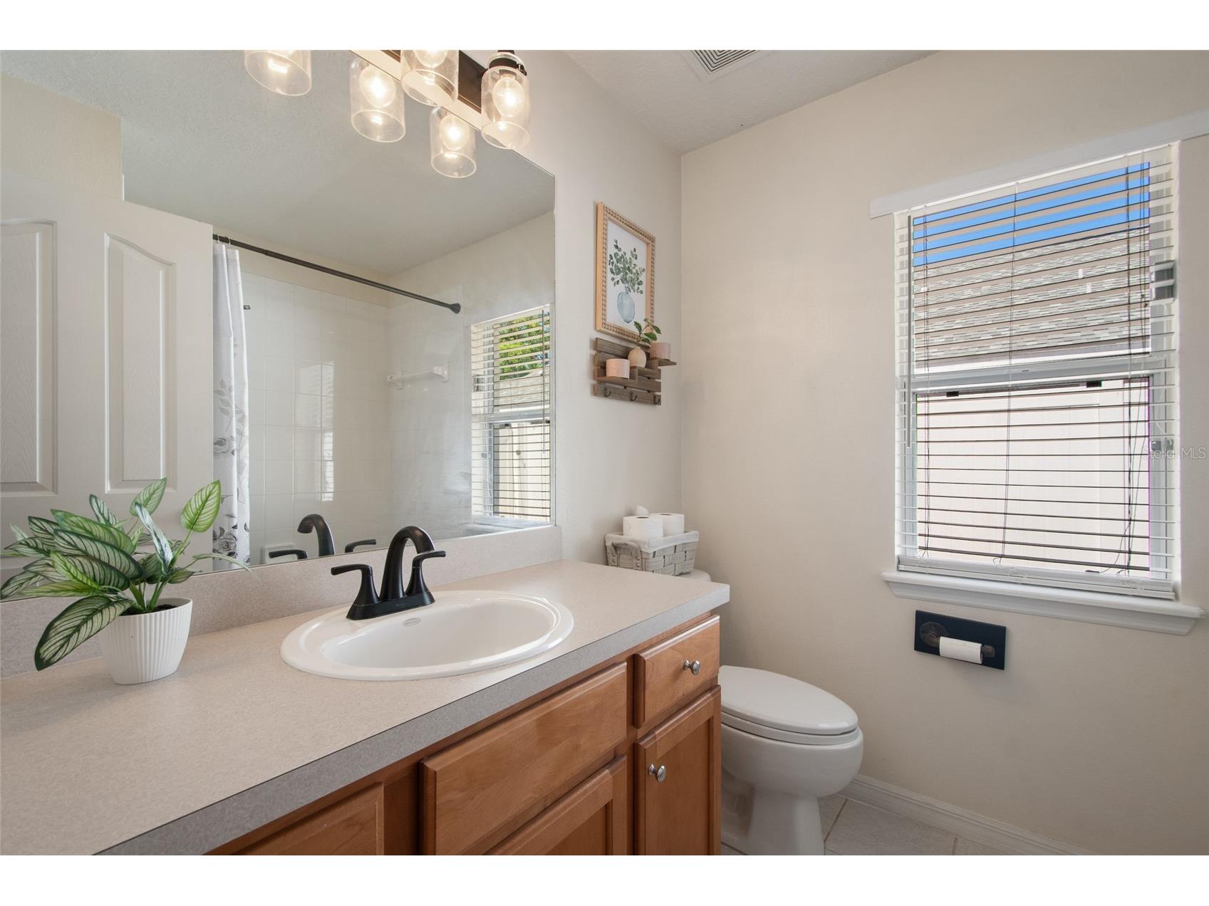 25249 Ironwedge Drive Sorrento FL 32776 O6392184 image50