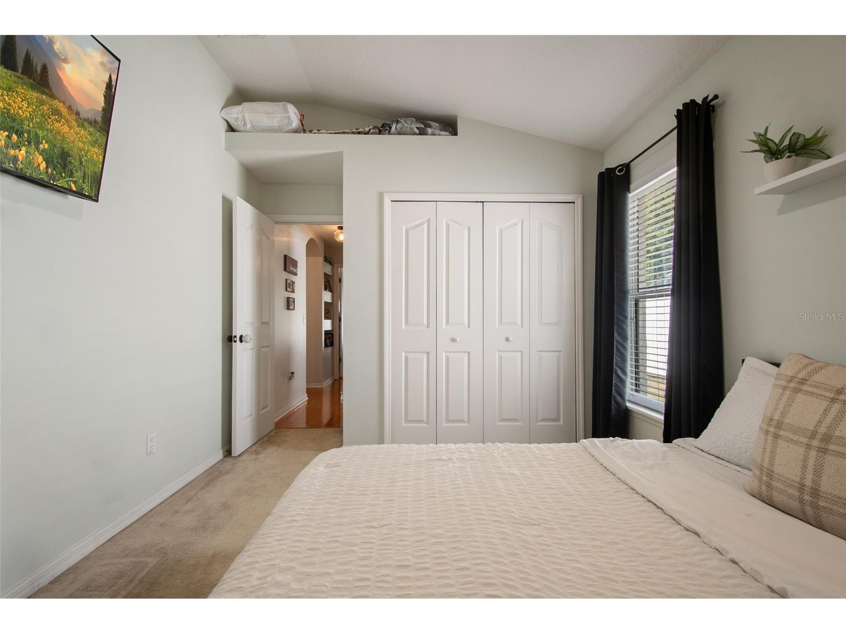 25249 Ironwedge Drive Sorrento FL 32776 O6392184 image51