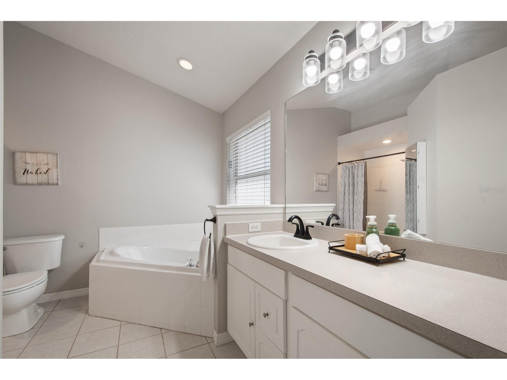 25249 Ironwedge Drive Sorrento FL 32776 O6392184 image8