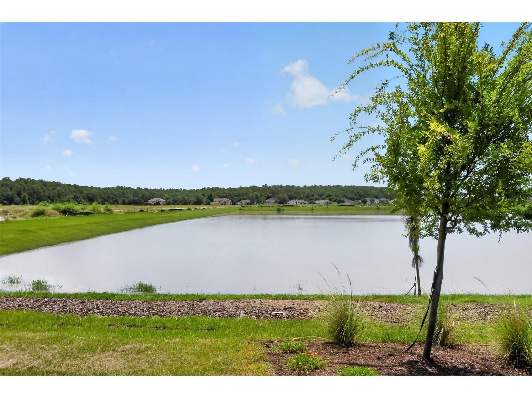 2525 Broadwing Street Kissimmee FL 34746 TB8524206 image30