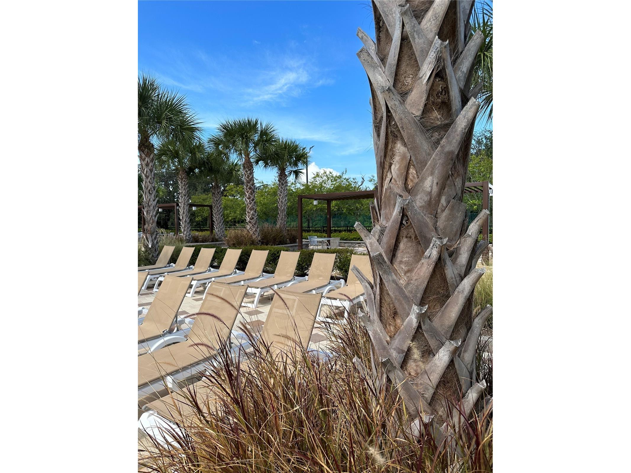 2525 Relaxing Lane Kissimmee FL 34744 O6396572 image41