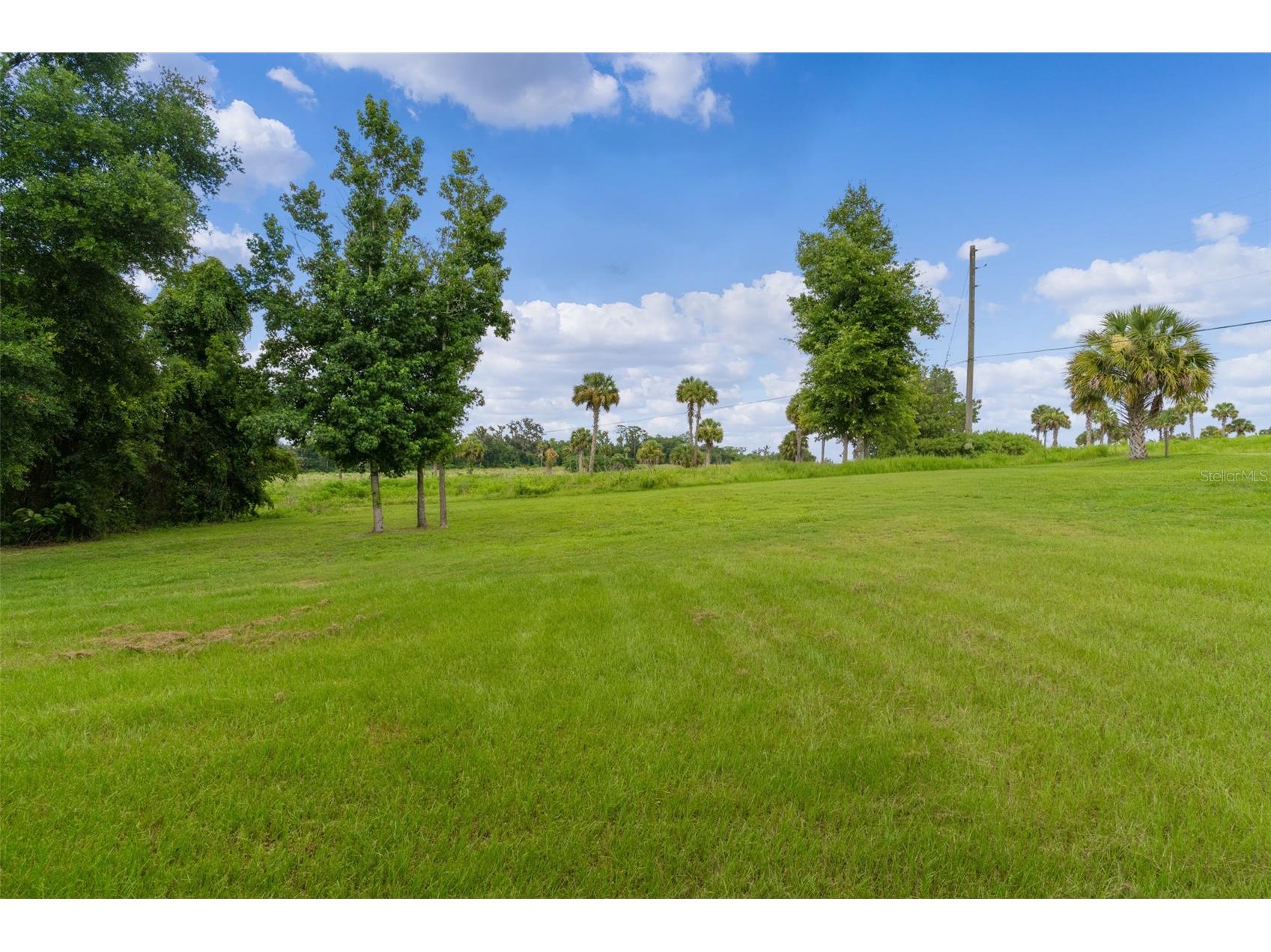 2525 SW 7th Avenue Ocala FL 34471 OM727535 image53