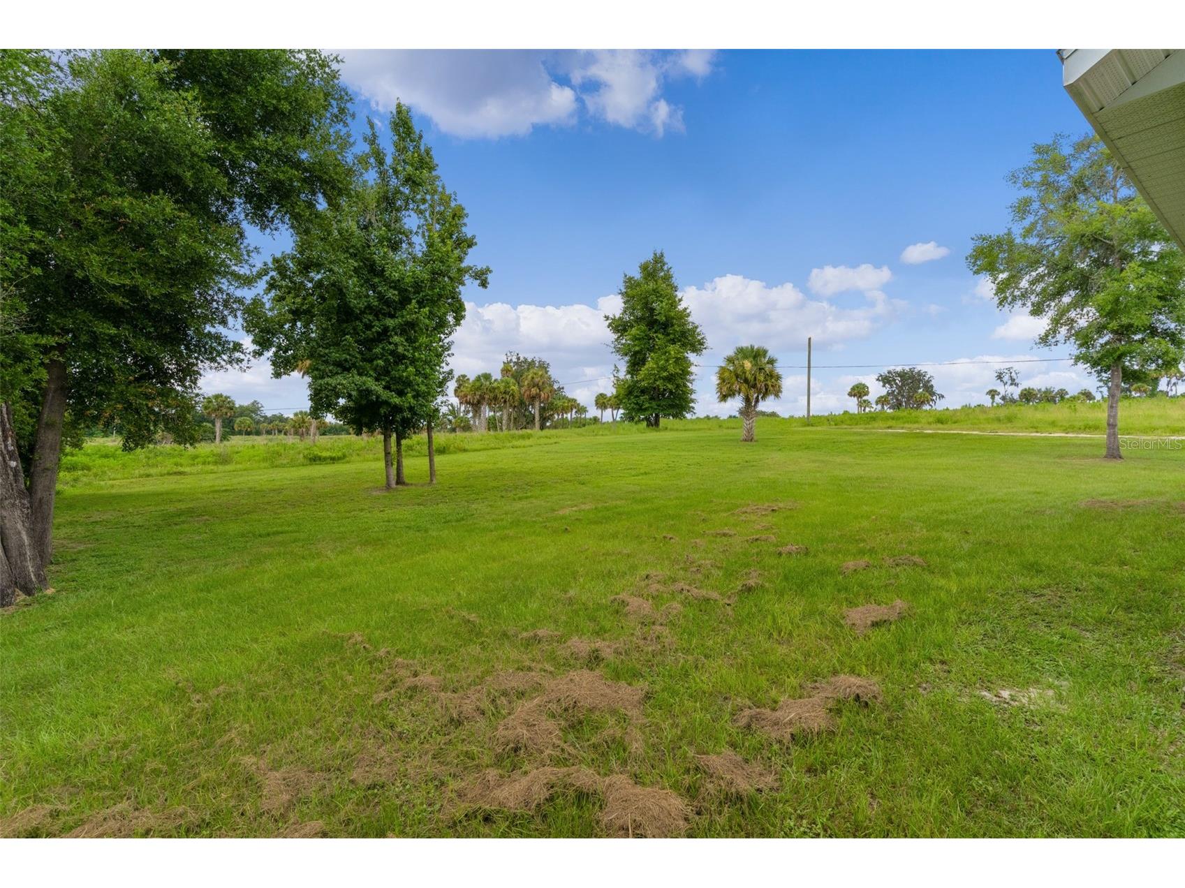 2525 SW 7th Avenue Ocala FL 34471 OM727535 image54