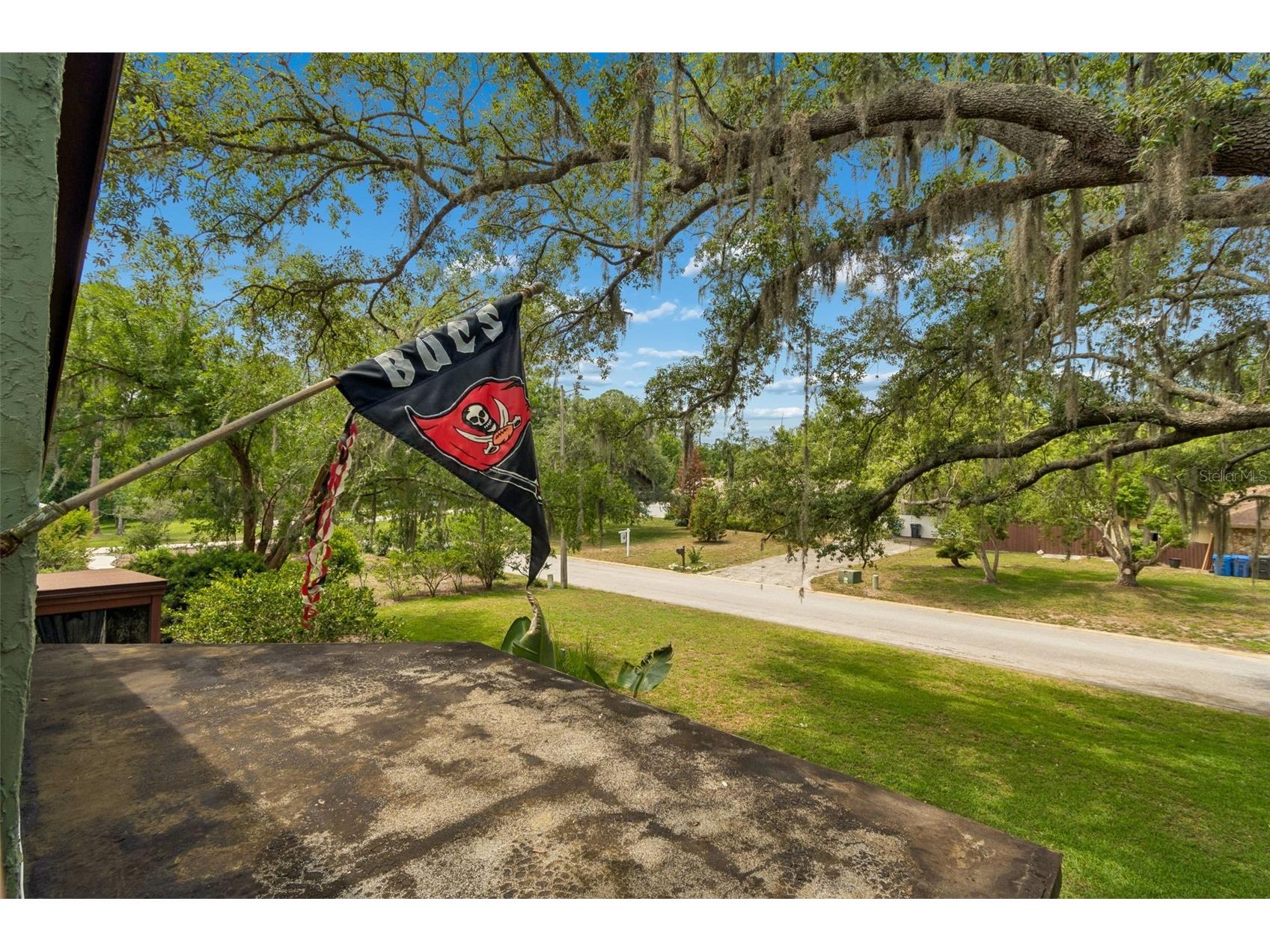 2525 Victarra Circle Lutz FL 33559 TB8503957 image43