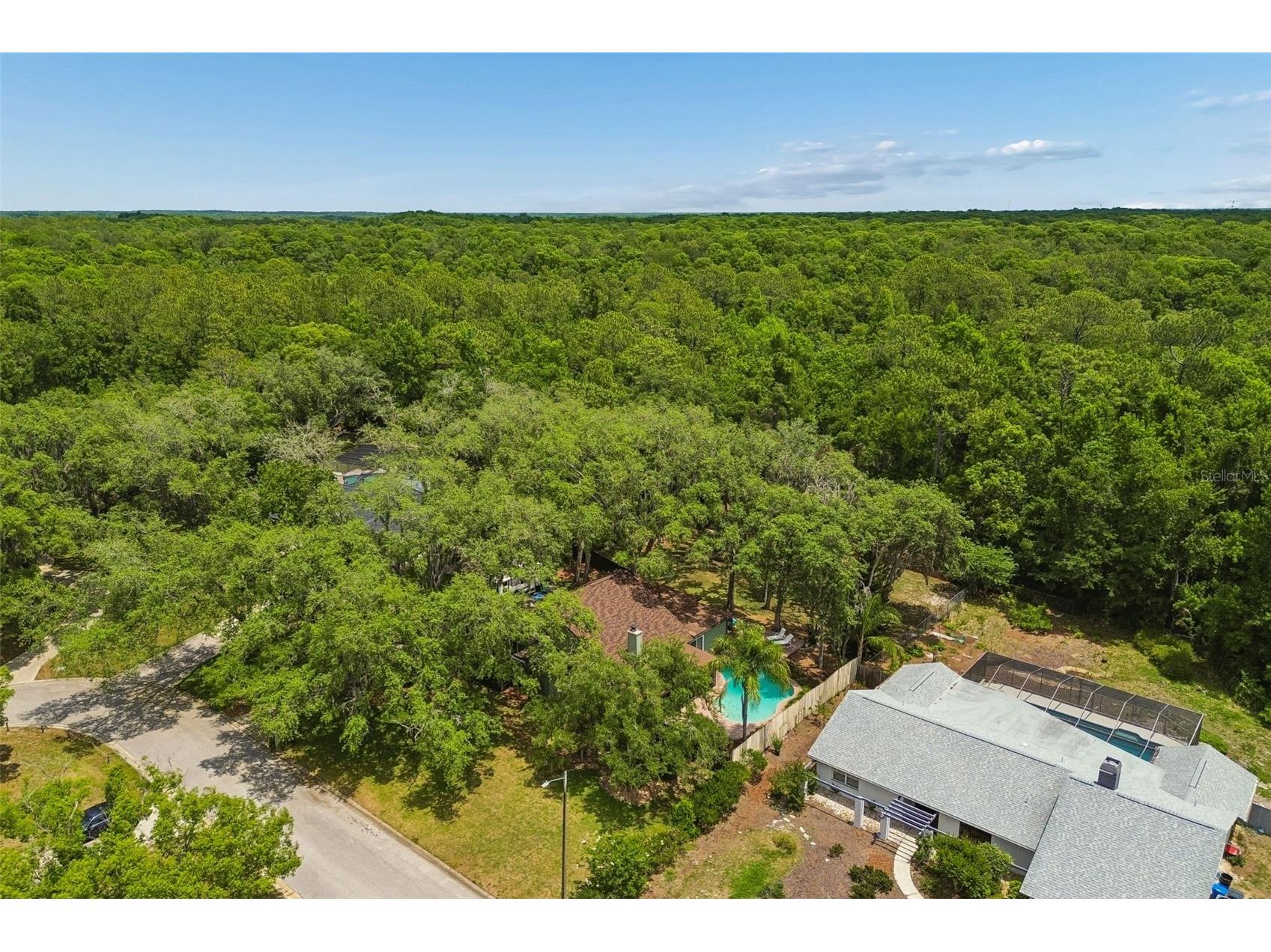 2525 Victarra Circle Lutz FL 33559 TB8503957 image65