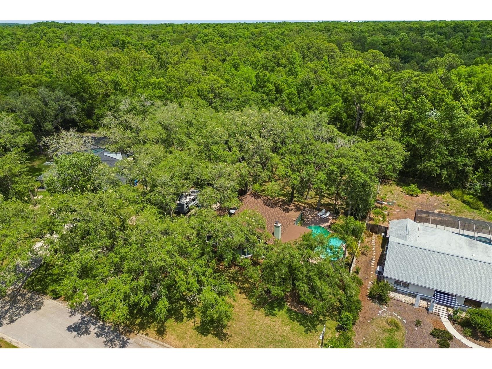 2525 Victarra Circle Lutz FL 33559 TB8503957 image68