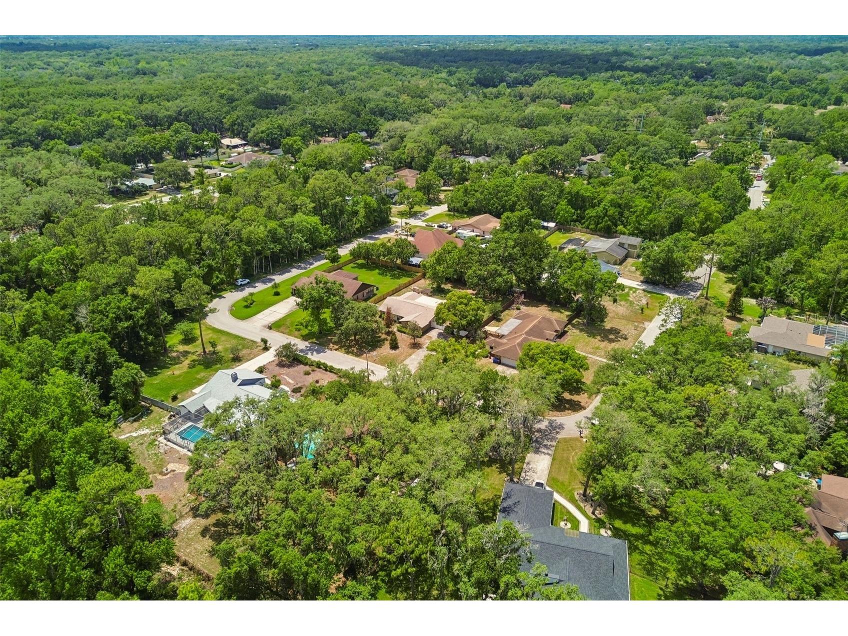 2525 Victarra Circle Lutz FL 33559 TB8503957 image69