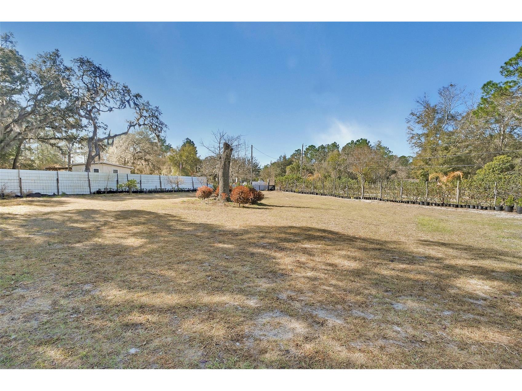 2525 Vista Park Drive Deland FL 32724 V4947198 image8