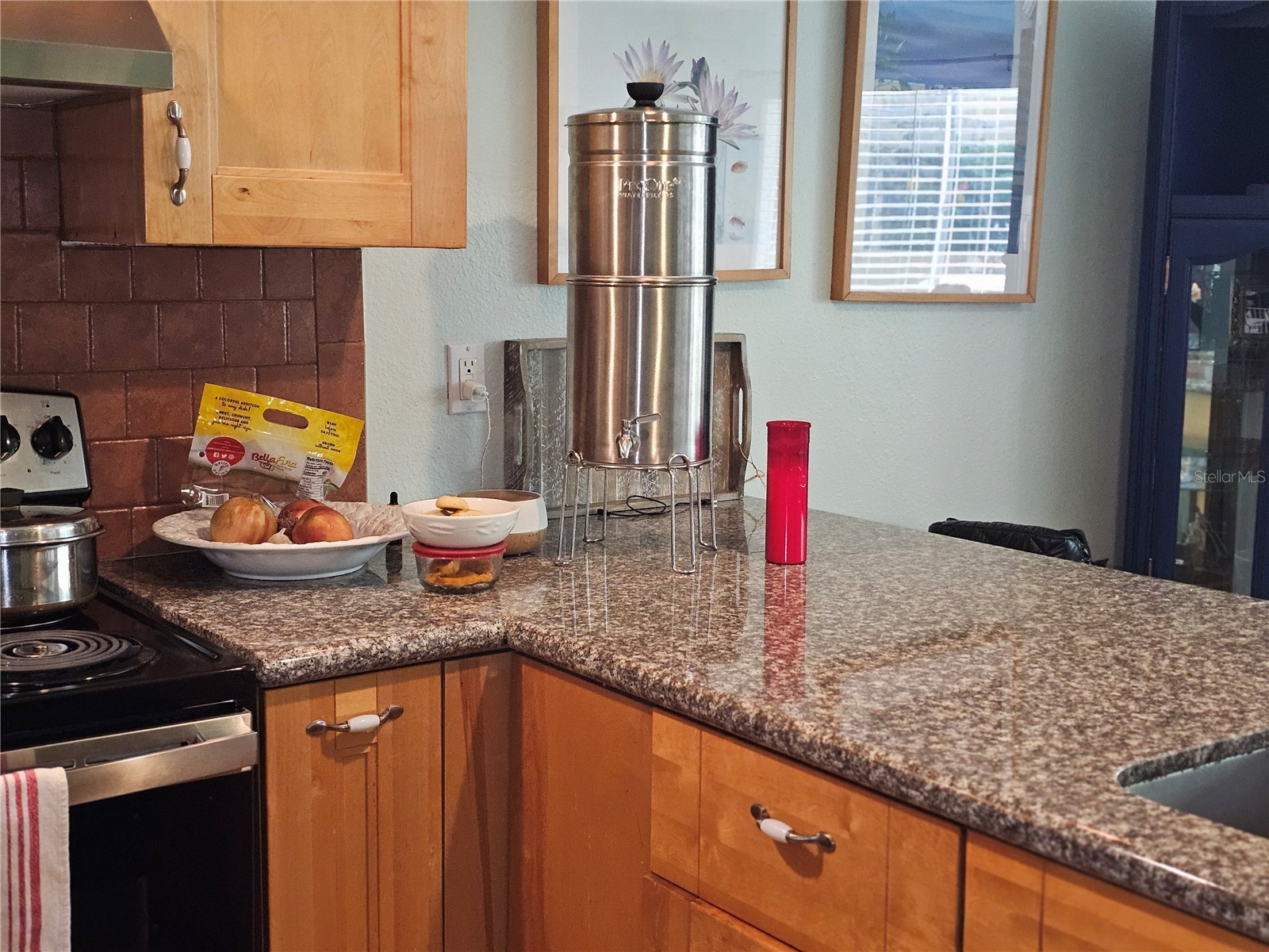 2525 W Bay Drive #A13 Belleair Bluffs FL 33770 TB8498195 image8