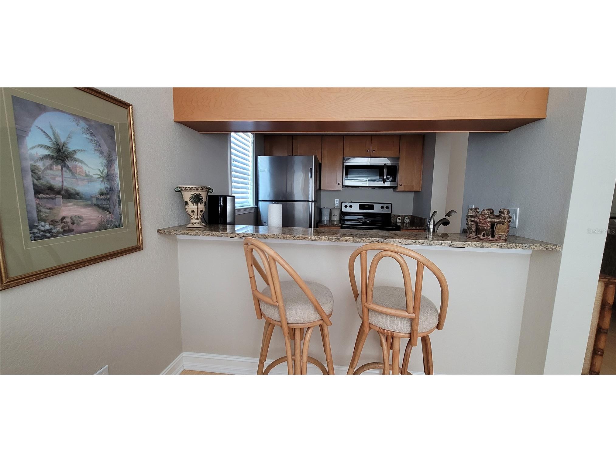 2525 W Bay Drive #B24 Belleair Bluffs FL 33770 TB8462529 image6