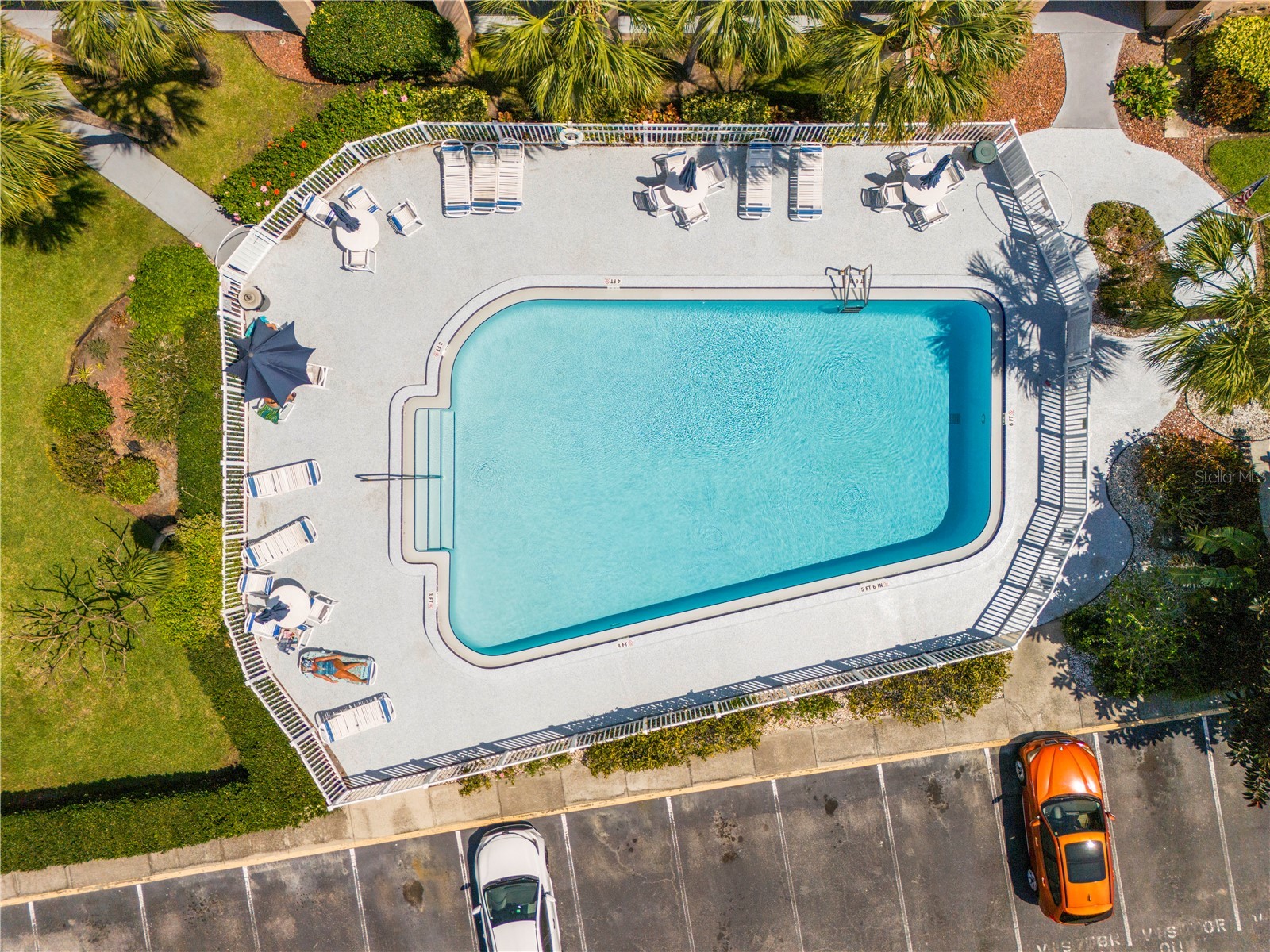 2525 W Bay Drive #C21 Belleair Bluffs FL 33770 TB8491915 image30