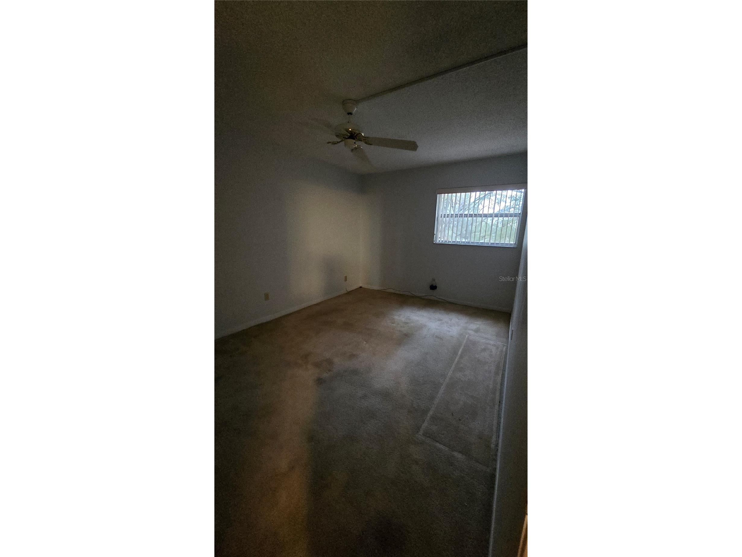 2525 W Bay Drive #C33 Largo FL 33770 TB8495676 image10