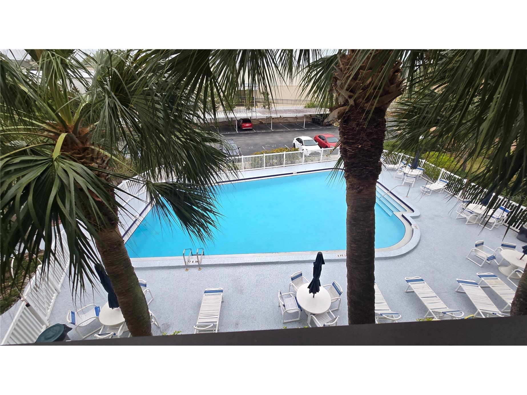 2525 W Bay Drive #C33 Largo FL 33770 TB8495676 image24