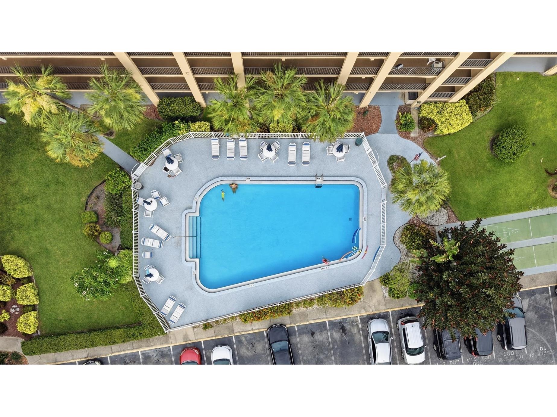 2525 W Bay Drive #C43 Belleair Bluffs FL 33770 TB8523044 image24