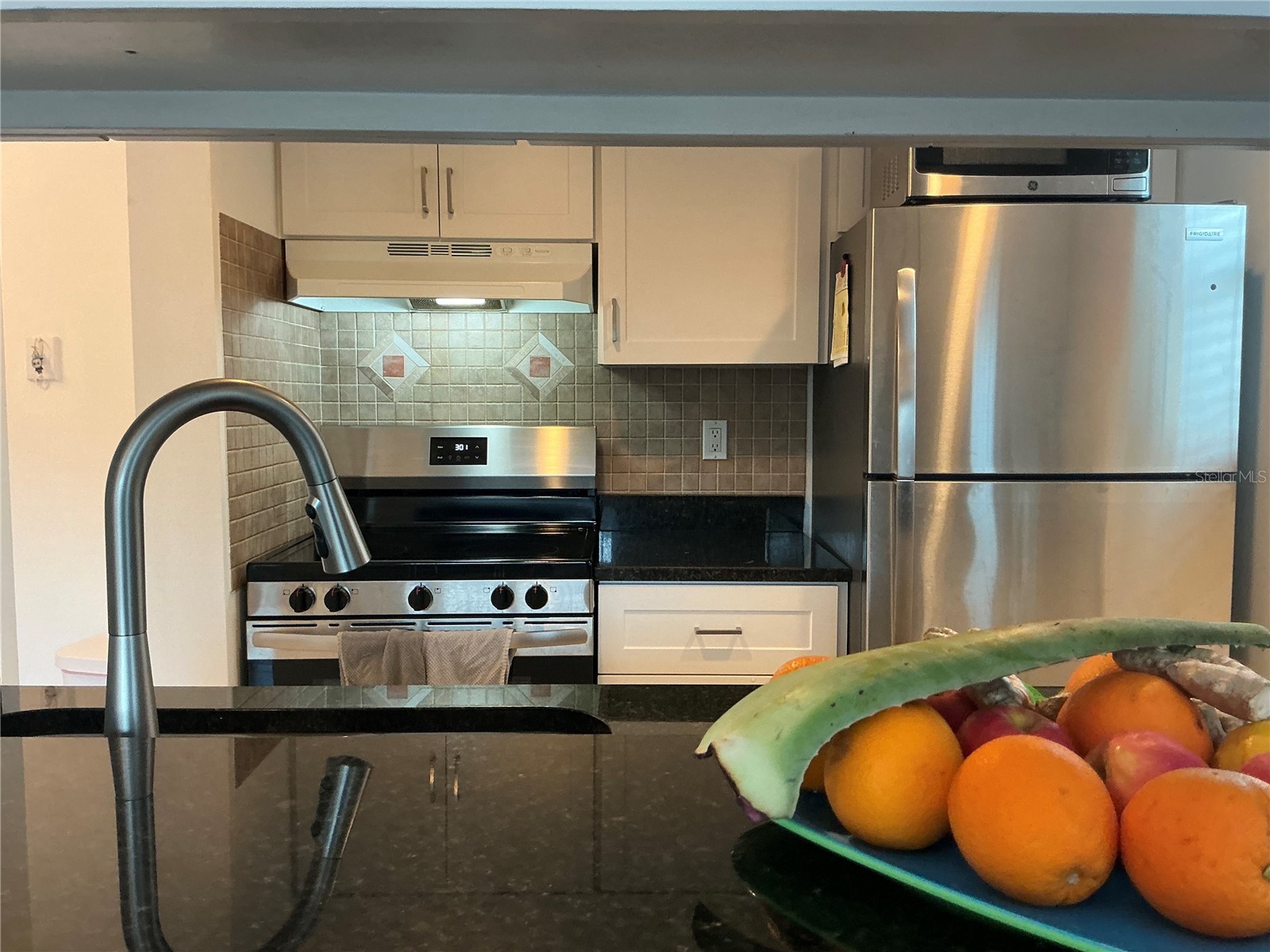 2525 West Bay Drive #E14 Belleair Bluffs FL 33770 TB8489041 image5