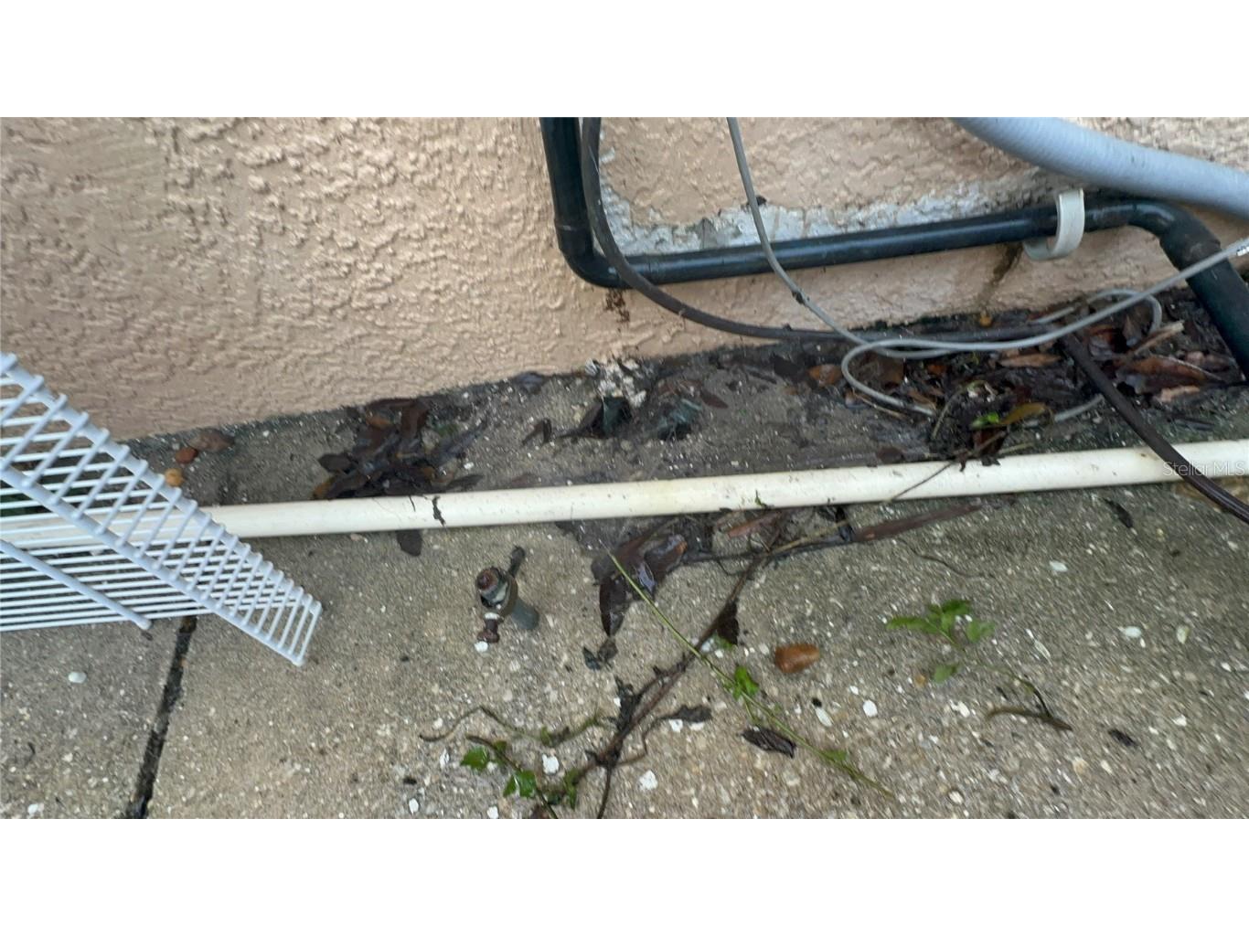 25250 E Sr 64 Myakka City FL 34251 - LAKE MANATEE A4676603 image2