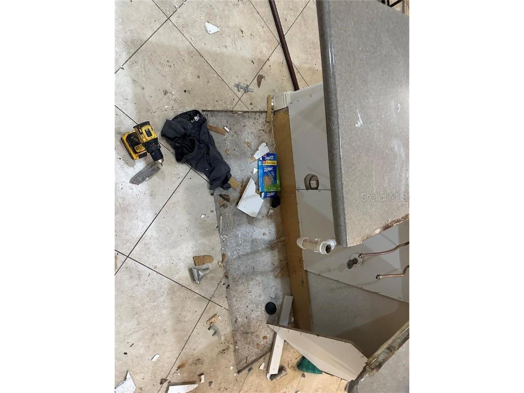 25250 E Sr 64 Myakka City FL 34251 - LAKE MANATEE A4676603 image22