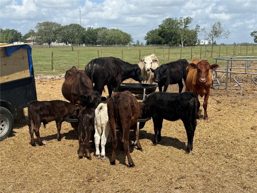 25250 E Sr 64 Myakka City FL 34251 - LAKE MANATEE A4676603 image38