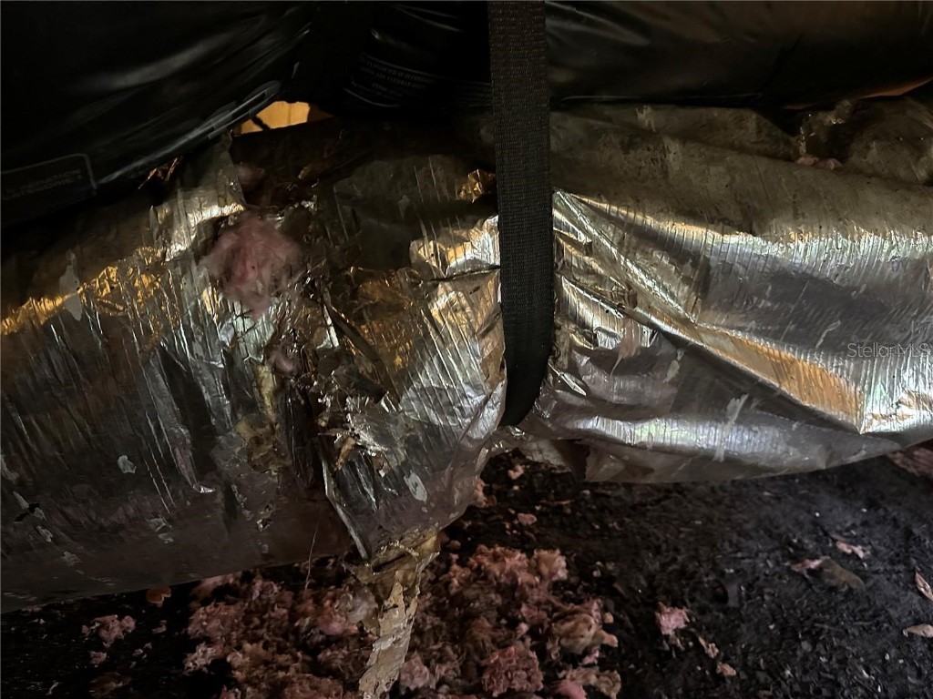 25250 E Sr 64 Myakka City FL 34251 - LAKE MANATEE A4676603 image4