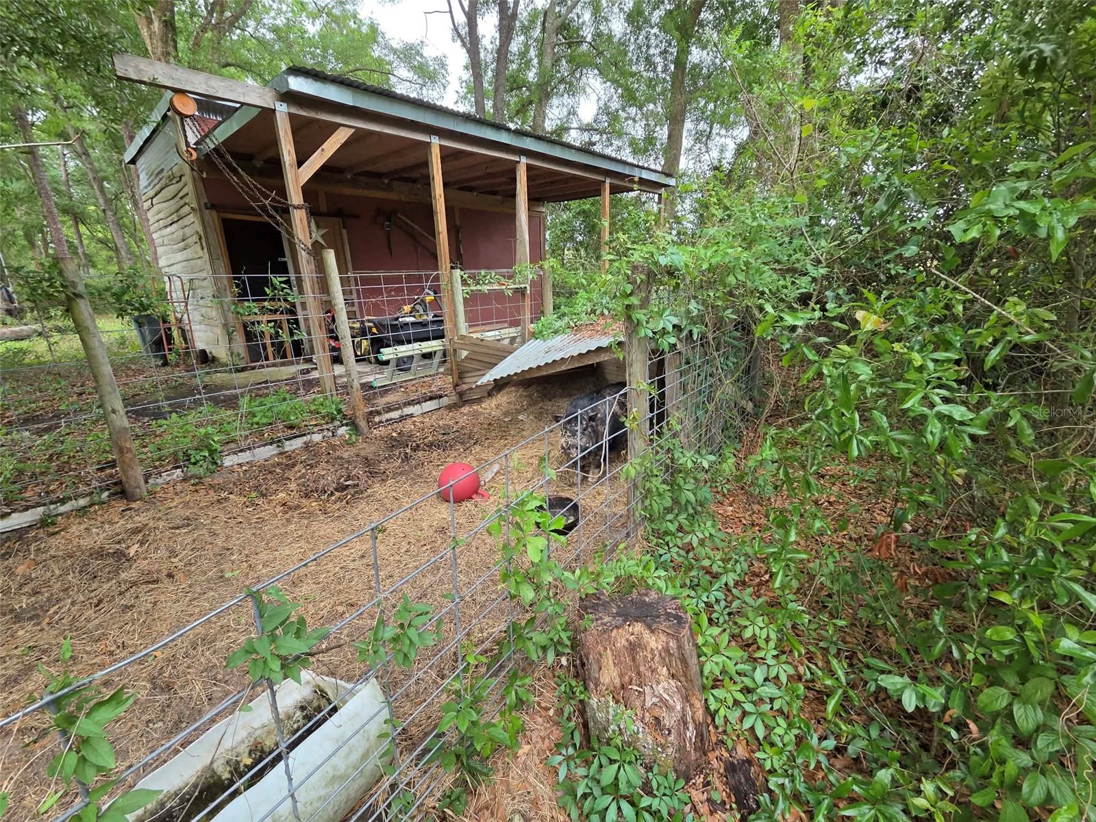 25250 Richbarn Road Brooksville FL 34601 W7884901 image7