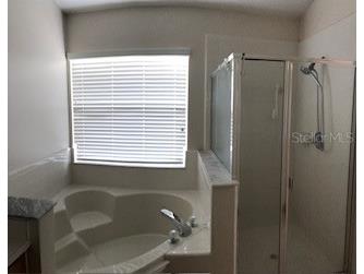 2527 Hikers Court Kissimmee FL 34743 S5150952 image19