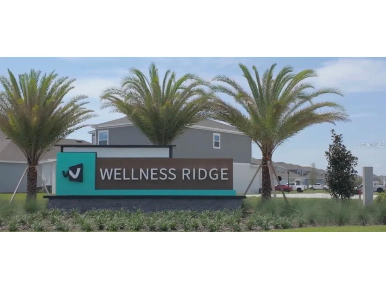 2527 Runners Circle Clermont FL 34714 O6345262 image47