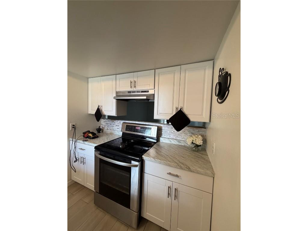 2527 Shrimp Street Orlando FL 32839 O6361132 image2