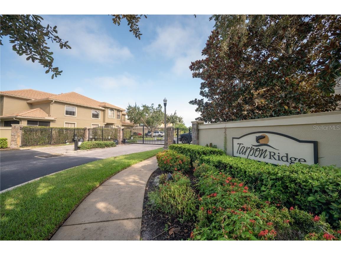 2527 Silverback Court Palm Harbor FL 34684 U8176820 image1