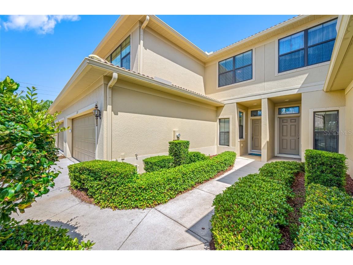 2527 Silverback Court Palm Harbor FL 34684 TB8377533 image11