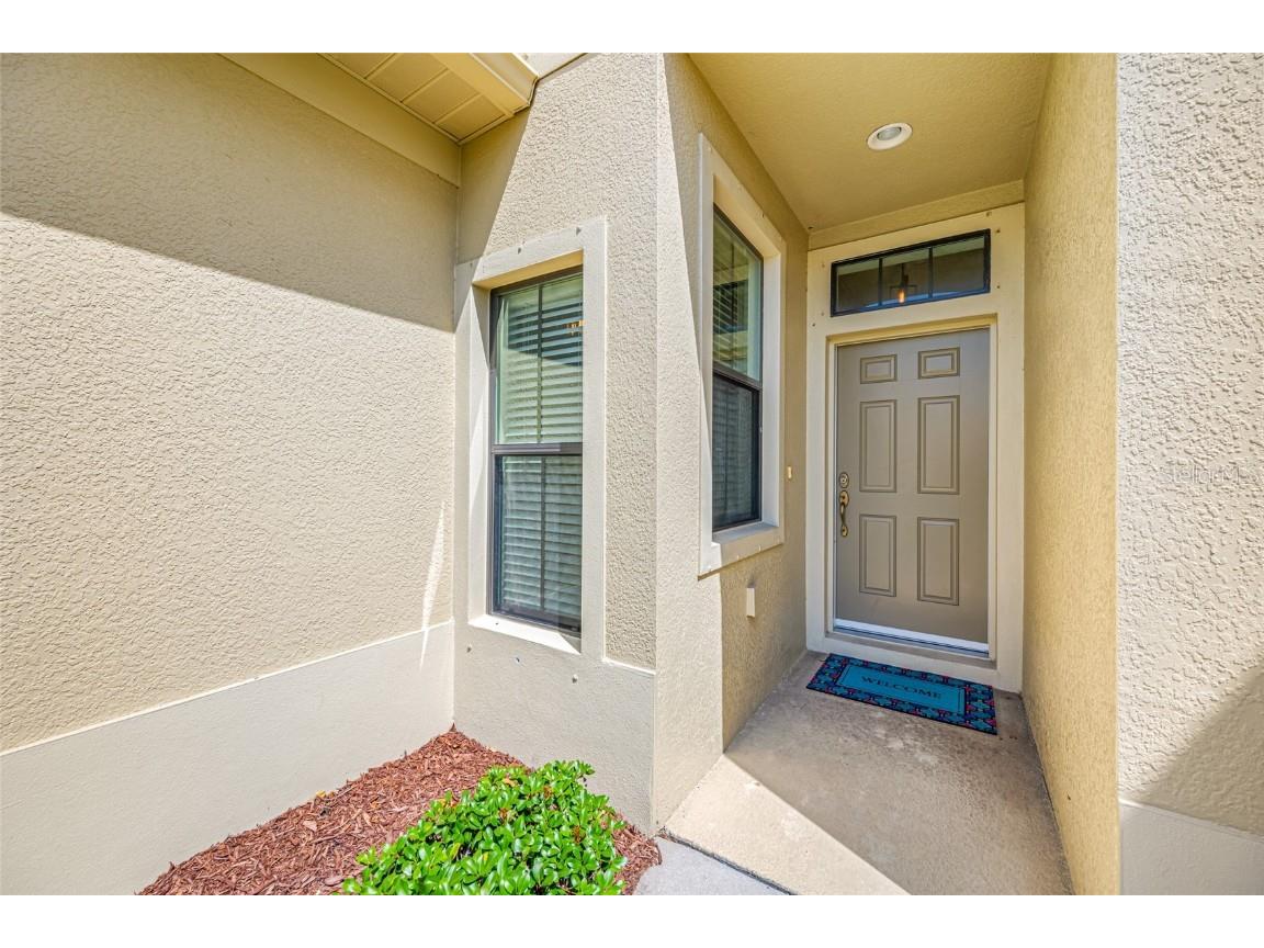 2527 Silverback Court Palm Harbor FL 34684 TB8377533 image12