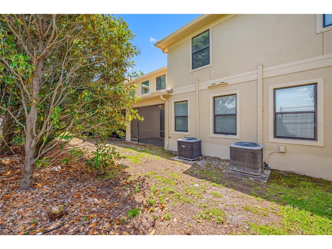 2527 Silverback Court Palm Harbor FL 34684 TB8377533 image14