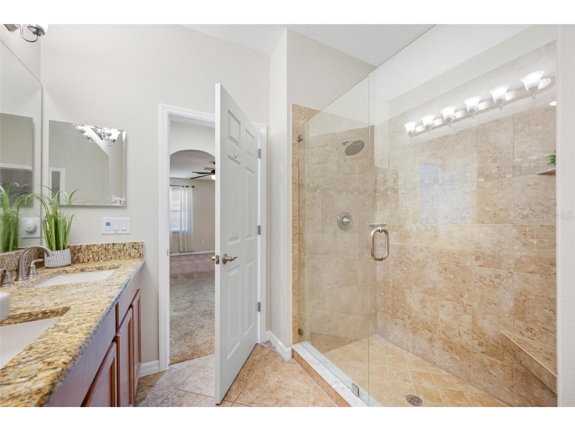 2527 Silverback Court Palm Harbor FL 34684 TB8377533 image38