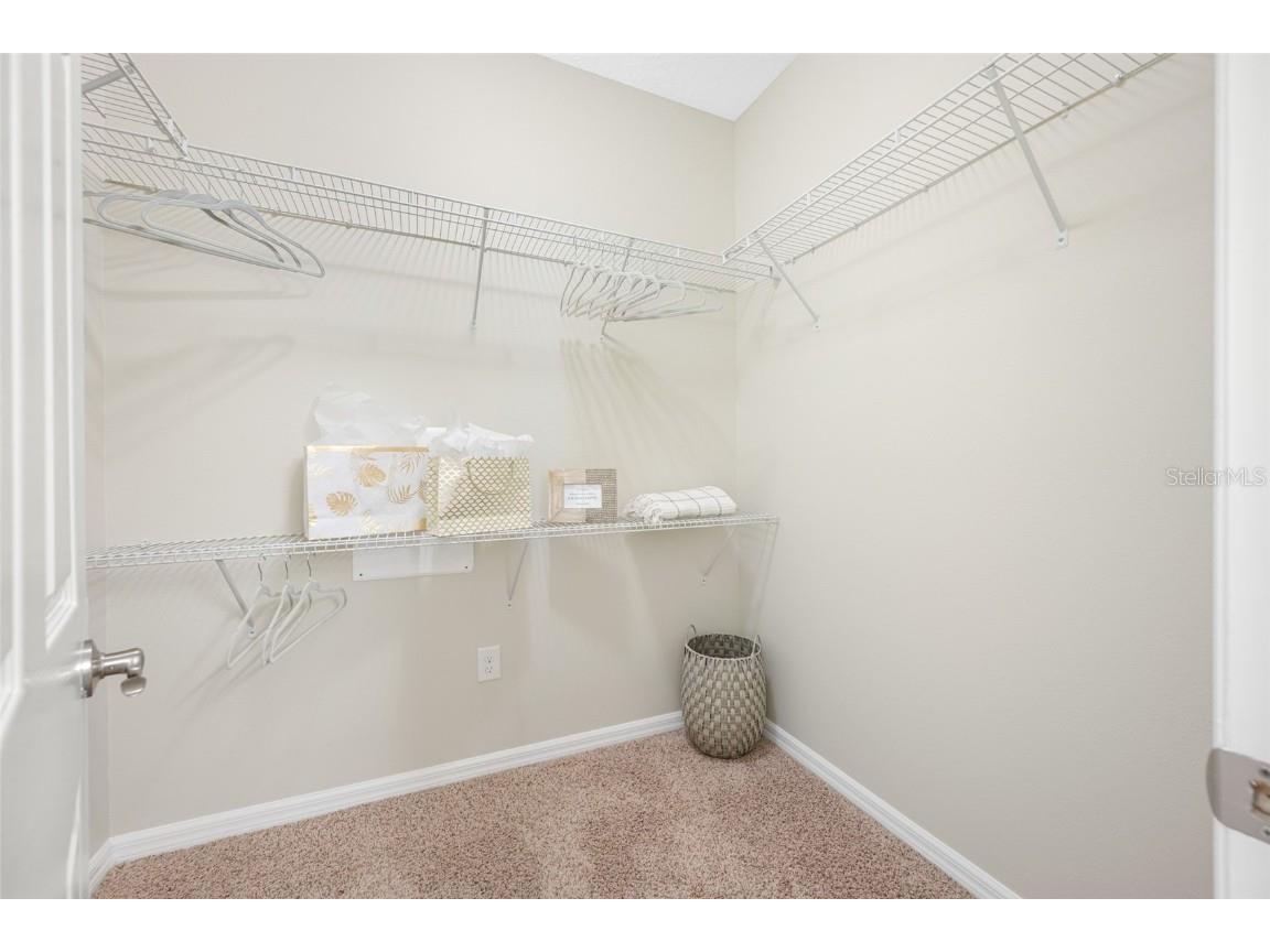 2527 Silverback Court Palm Harbor FL 34684 TB8377533 image39