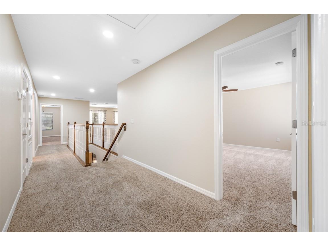 2527 Silverback Court Palm Harbor FL 34684 TB8377533 image41