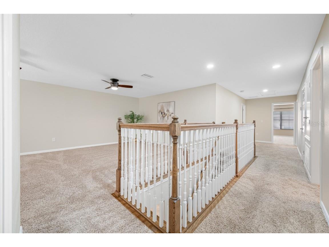 2527 Silverback Court Palm Harbor FL 34684 TB8377533 image42