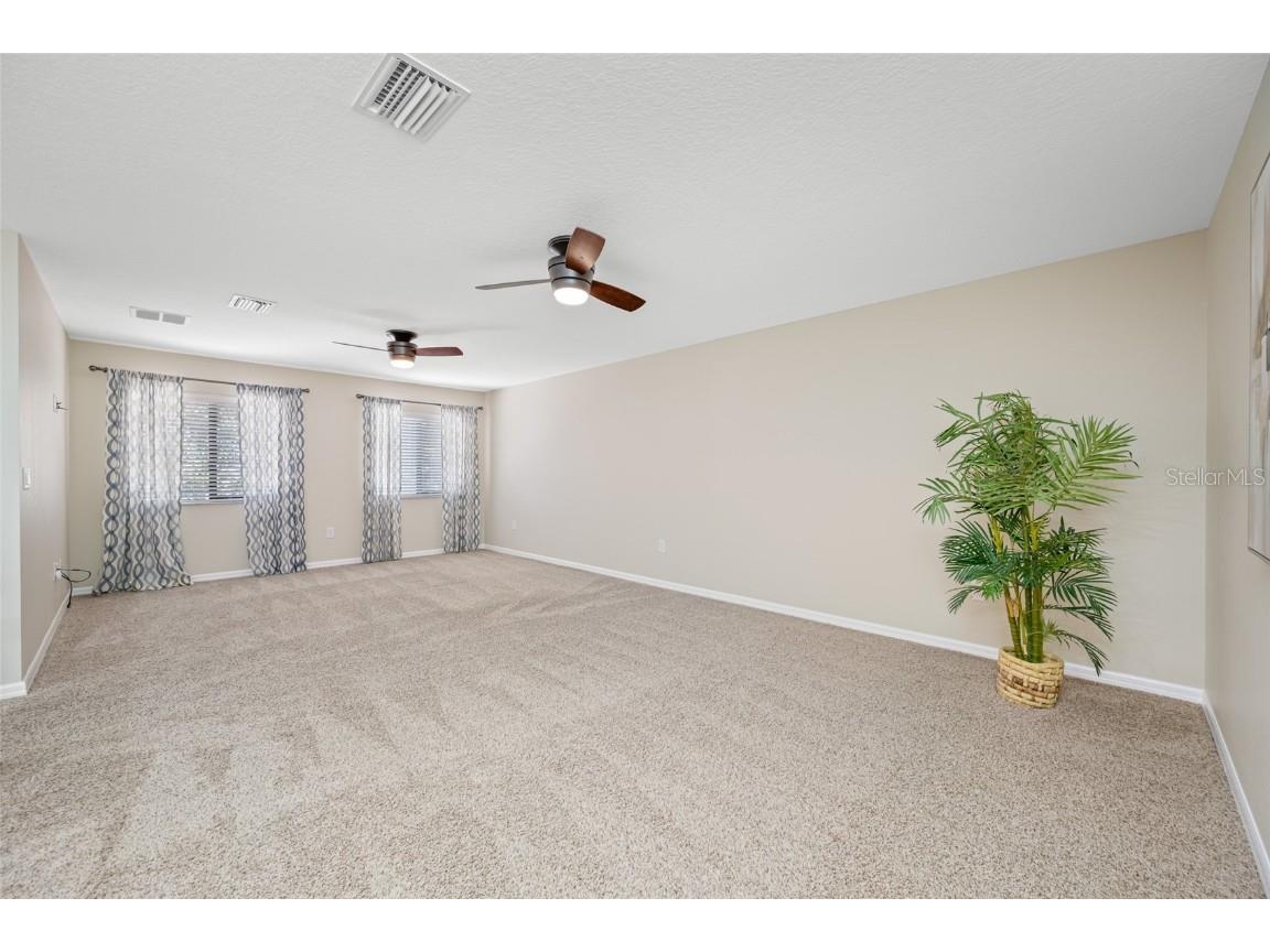 2527 Silverback Court Palm Harbor FL 34684 TB8377533 image43