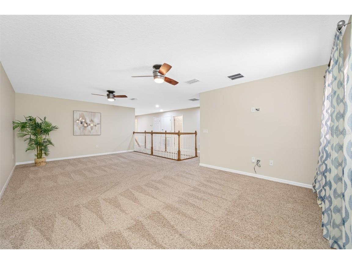 2527 Silverback Court Palm Harbor FL 34684 TB8377533 image45