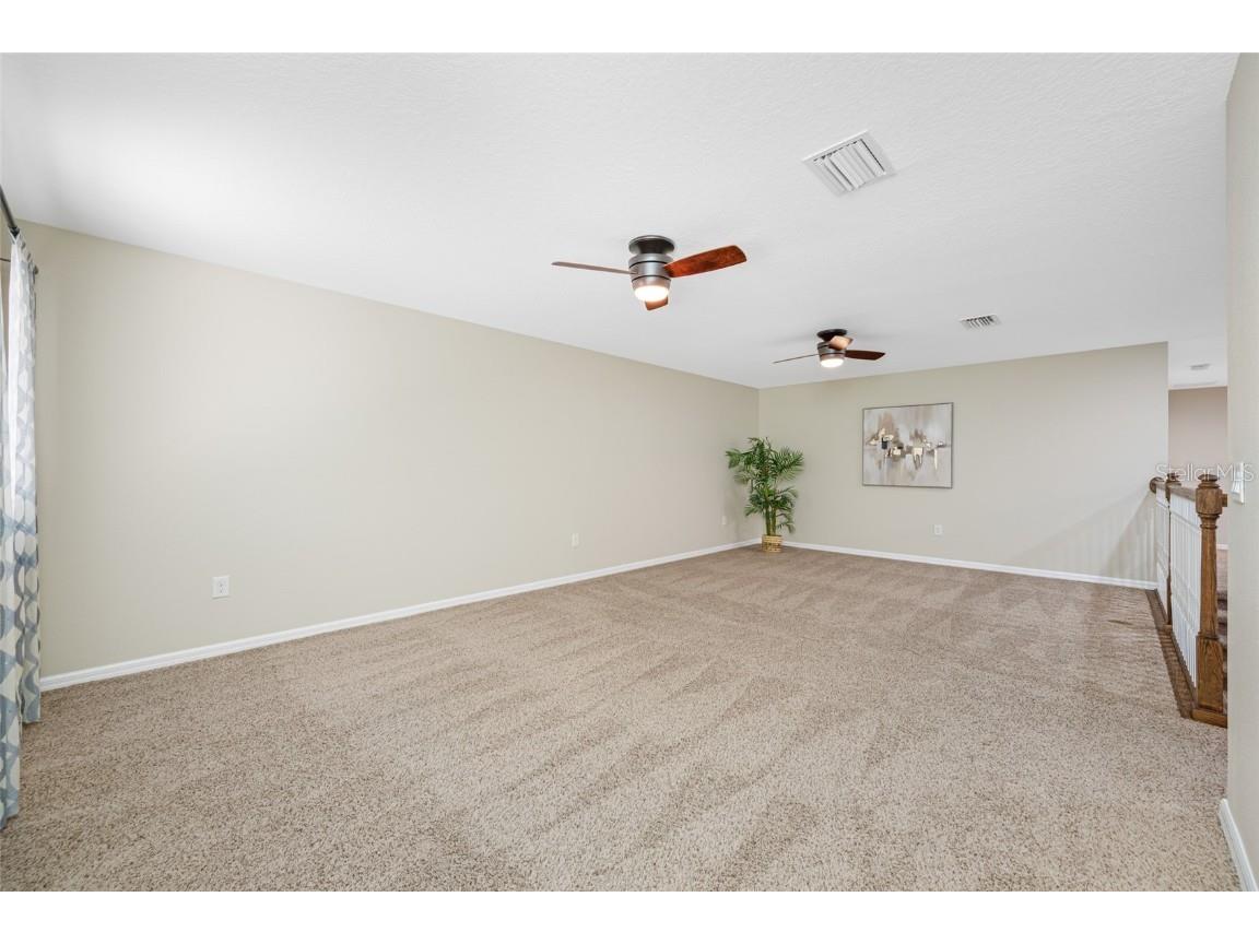 2527 Silverback Court Palm Harbor FL 34684 TB8377533 image46