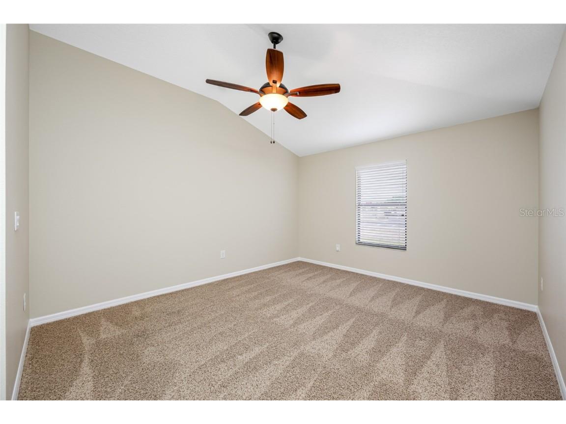 2527 Silverback Court Palm Harbor FL 34684 TB8377533 image47