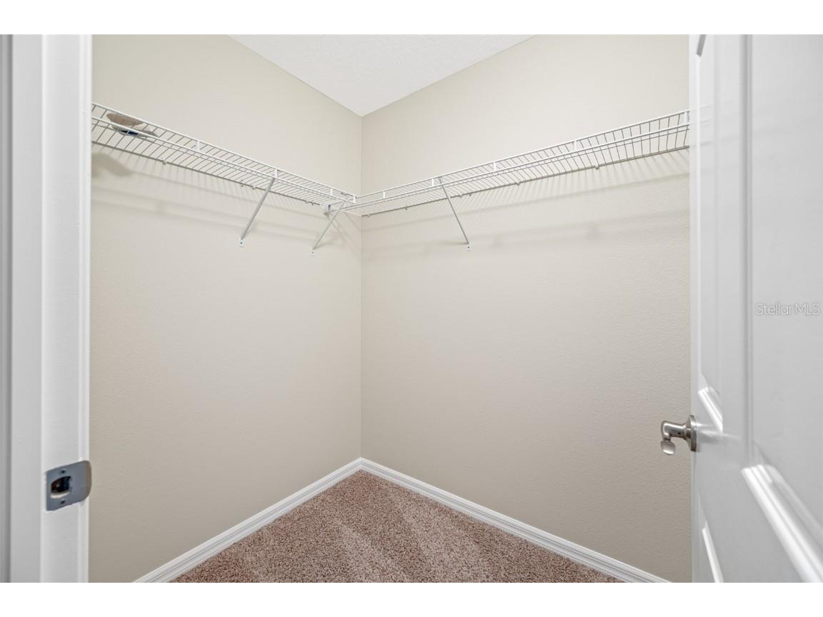 2527 Silverback Court Palm Harbor FL 34684 TB8377533 image48