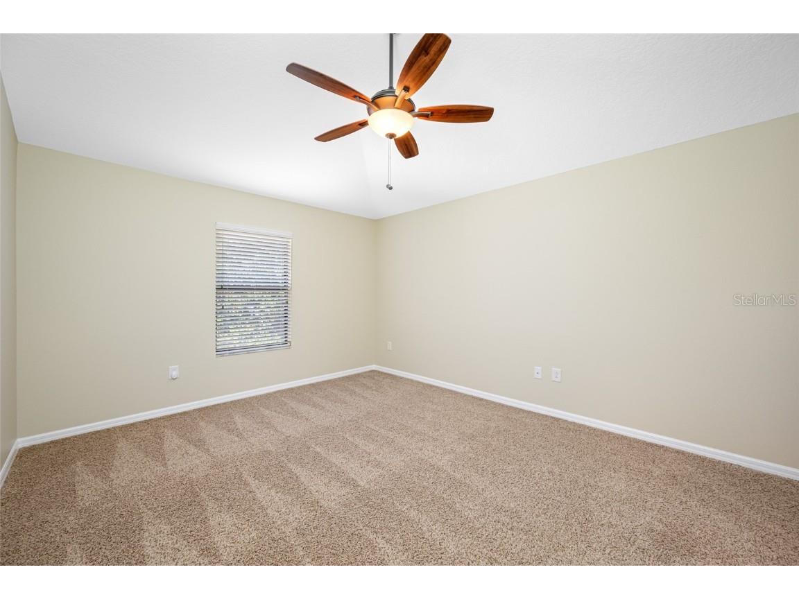 2527 Silverback Court Palm Harbor FL 34684 TB8377533 image51