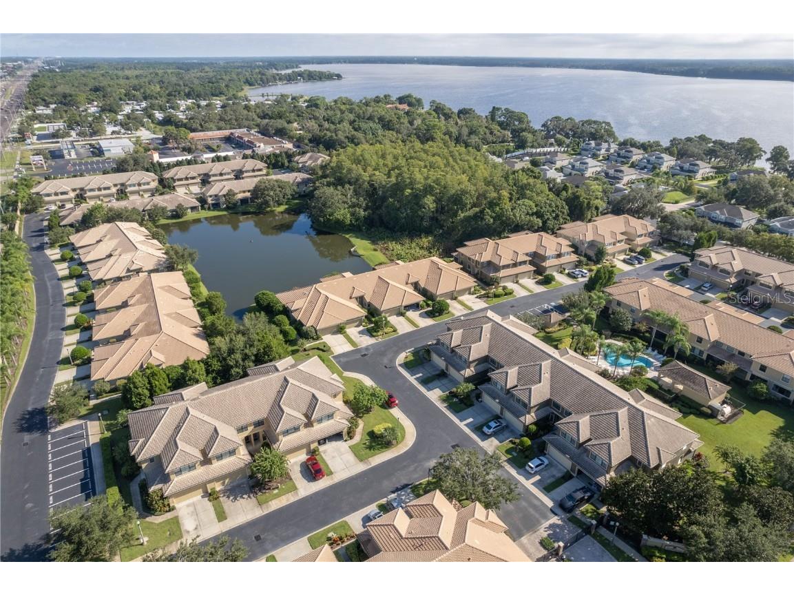 2527 Silverback Court Palm Harbor FL 34684 TB8377533 image6