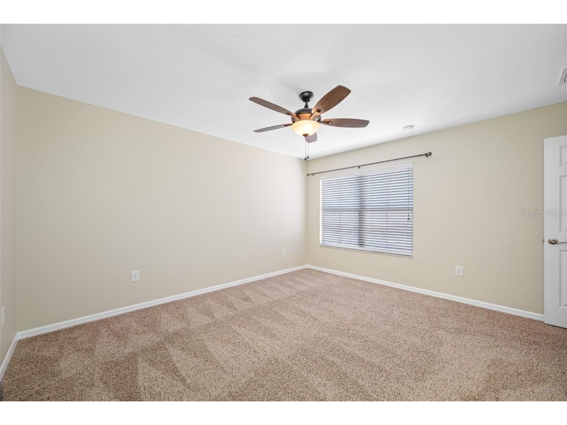 2527 Silverback Court Palm Harbor FL 34684 TB8377533 image66